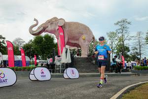 BIB: 
                            <button type="button" onclick="openModal(26529001)" class="btn btn-primary btn-sm float-right btn-popup" data-toggle="modal" data-target=".modal-high-quality">
                        <i class="fas fa-shopping-cart"></i> Add to Cart
                    </button>
                                            <button type="button" onclick="isThisMe(26529001, true)" class="btn btn-success btn-sm float-right btn-popup btn-isme hidden" data-toggle="tooltip" data-placement="bottom" title="นี่คือรูปของคุณใช่ไหม คลิกที่นี่เพื่อเอาเข้าอัลบั้ม">
                        <i class="fas fa-plus"></i> Add to album
                    </button>
                    <button type="button" onclick="isThisMe(26529001, false)" class="btn btn-warning btn-sm float-right btn-popup btn-isnotme hidden">
                        <i class="fas fa-ban"></i> Remove from album
                    </button>